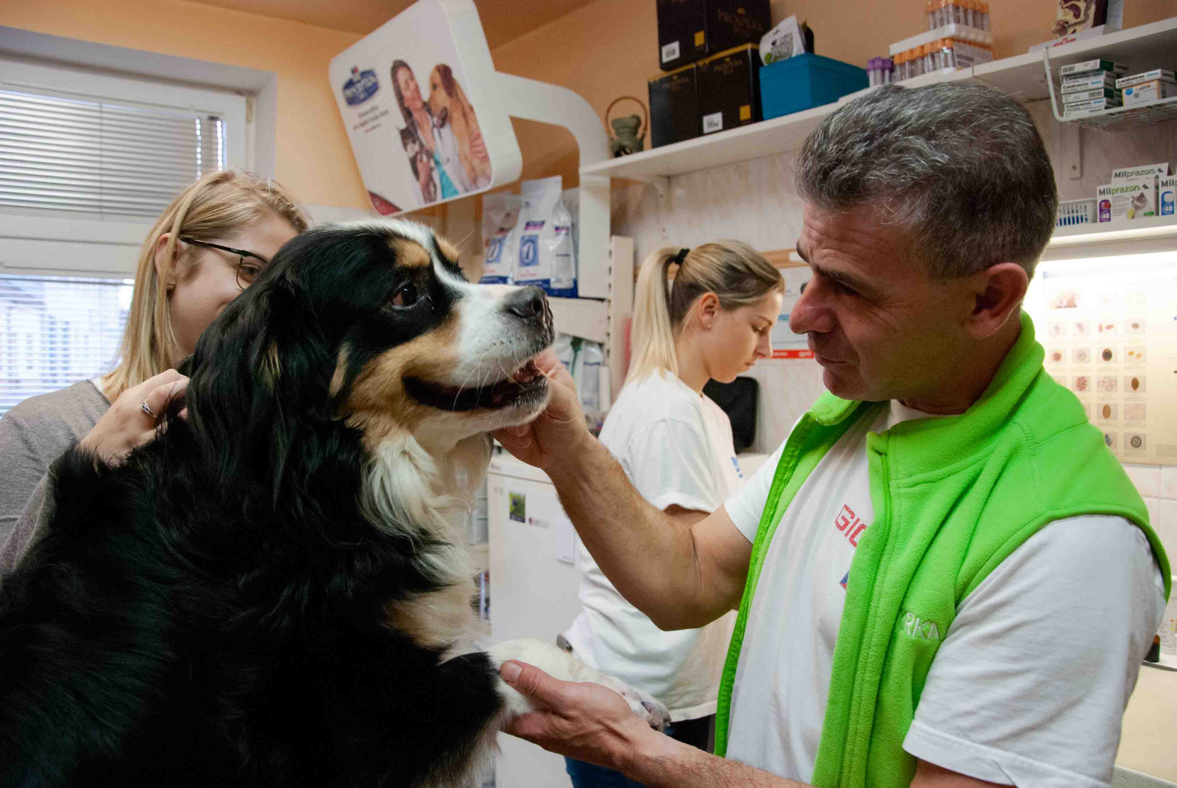 Veterinární zákrok